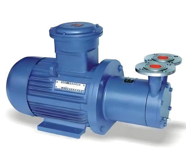 One of the types of pumps vortex pumps